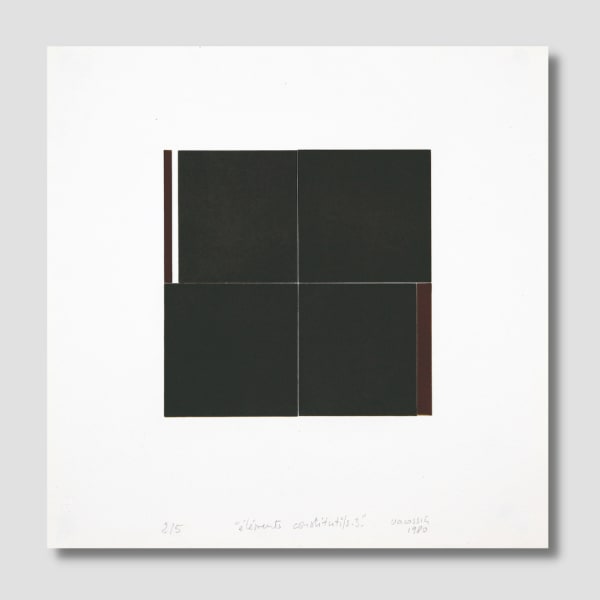 Marie-Thérèse VACOSSIN, Eléments constitutifs 3 , 1980