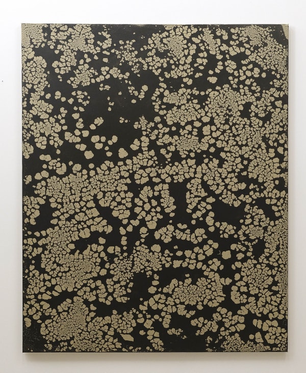 Pierre GALOPIN, Multilobé, 2019