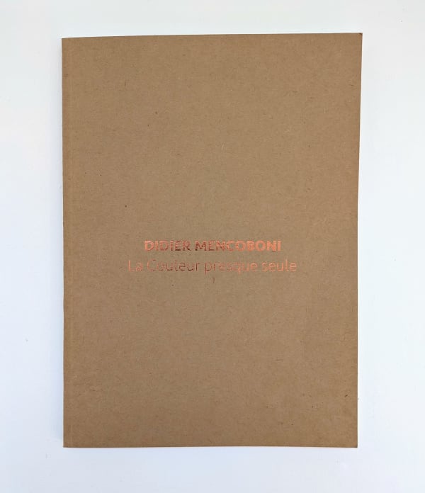 Didier MENCOBONI, La couleur presque seule, 2023