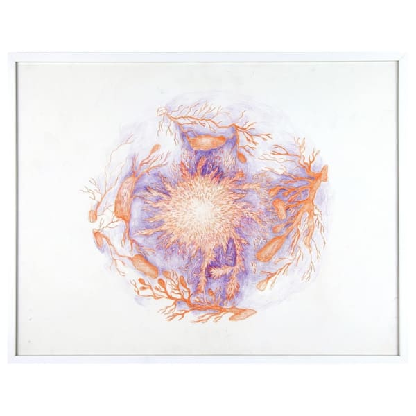 Brankica Žilović, Mundus Subterraneus II, 2024