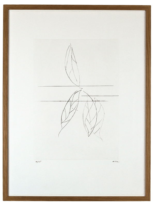 Geneviève ASSE, Sans titre (feuille) I, 2013