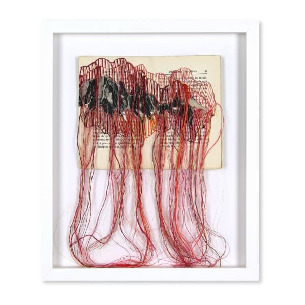 Brankica Žilović, Devins paysages, 2024