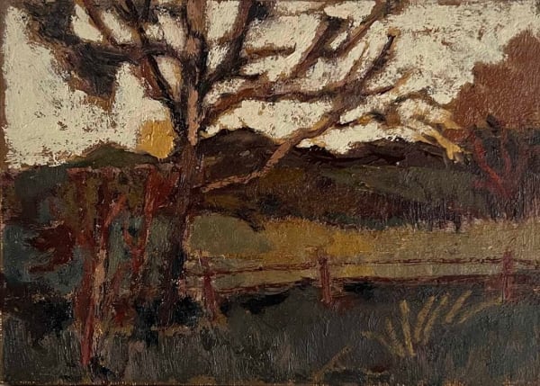 Caroline Ann Mordue, Bowden Wilderness, Fence