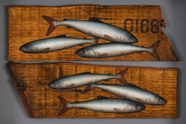 Donald Provan, Split Number