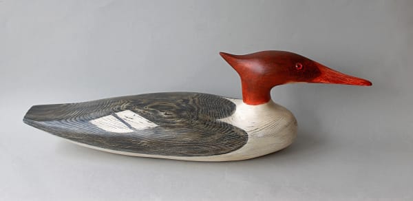 Alex Malcolmson, Merganser Duck
