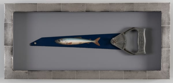 Donald Provan, Eclipse