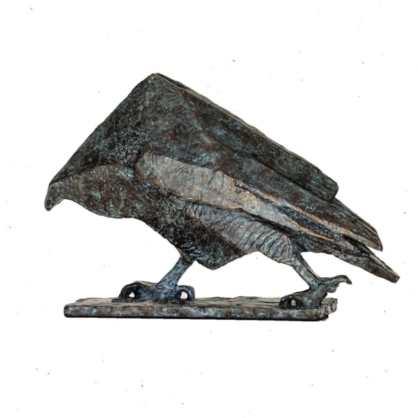 Cobus van der Walt, The Walking Hawk
