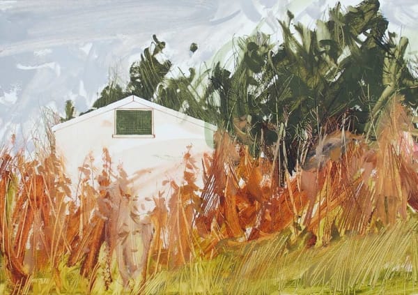 Anna King, (Now Demolished) Shed and Fireweed