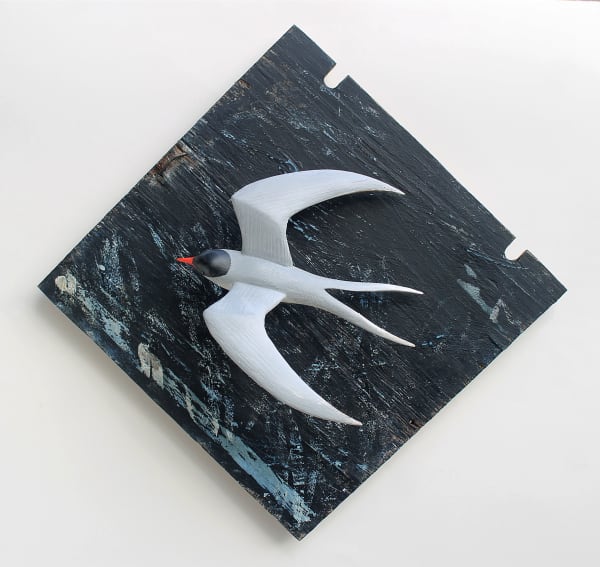 Alex Malcolmson, Flying Tern