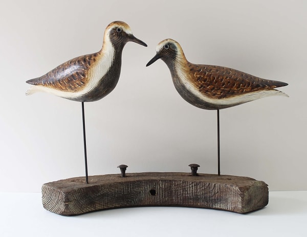 Alex Malcolmson, Pair of Plover