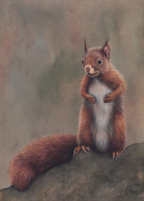 Bridget Watson, Squirrel (258)