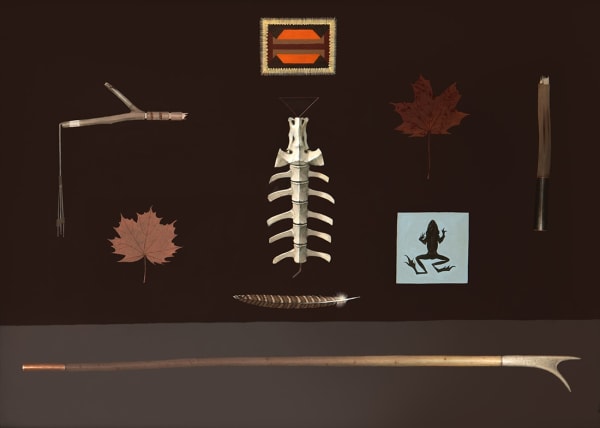 James Fairgrieve RSA RSW, Autumn Still Life