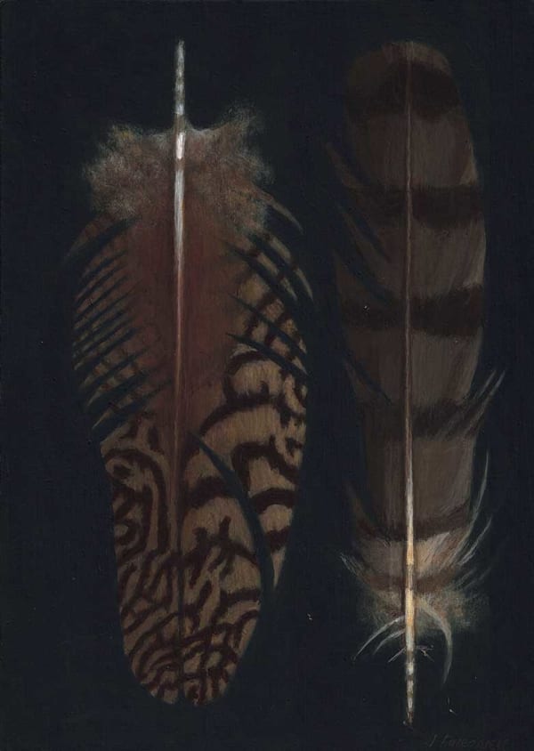 James Fairgrieve RSA RSW, Two Feathers II (321)