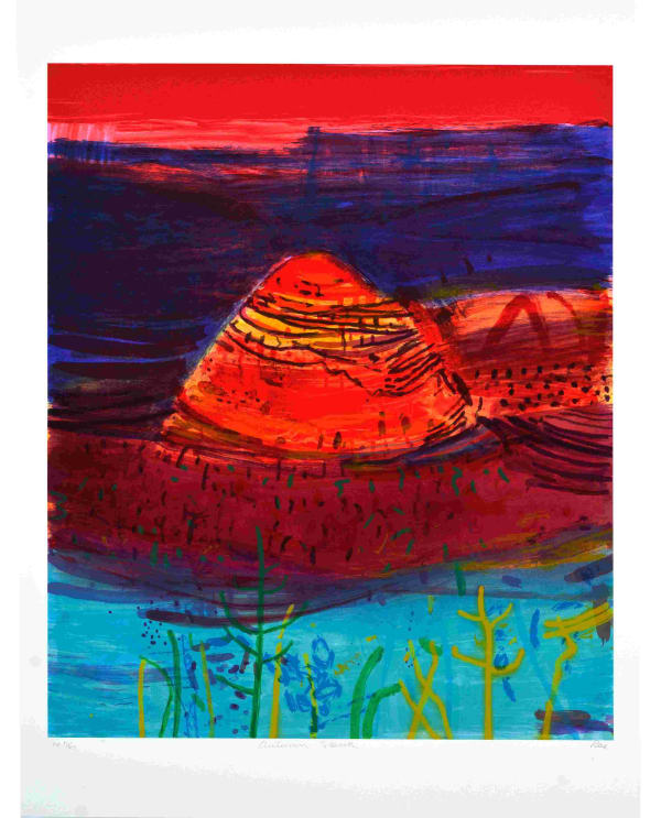 Dame Barbara Rae CBE RA, Autumn Sierra , 2011