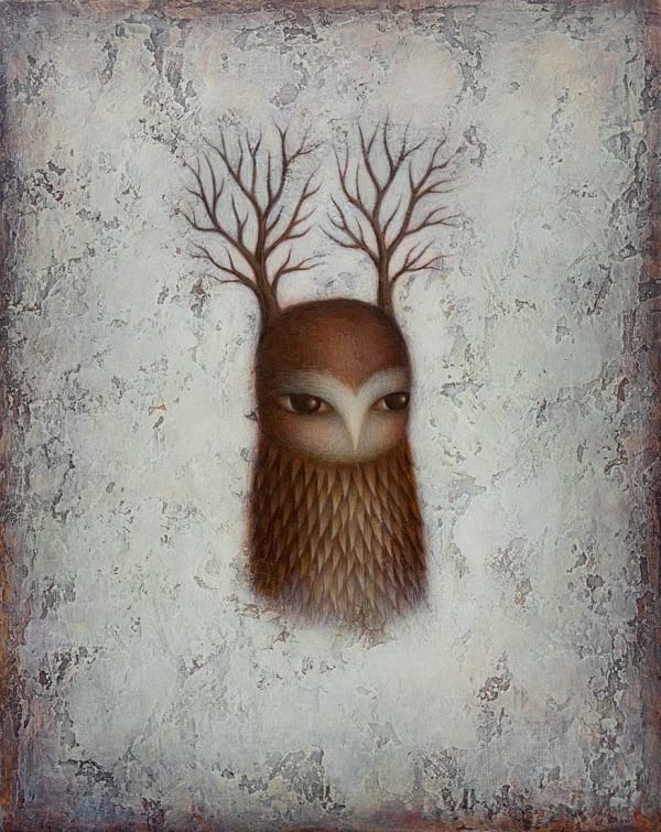 Paul Barnes, Owl