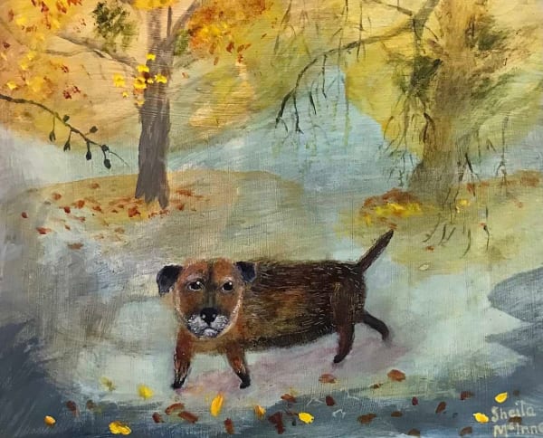 Sheila McInnes, Border Terrier