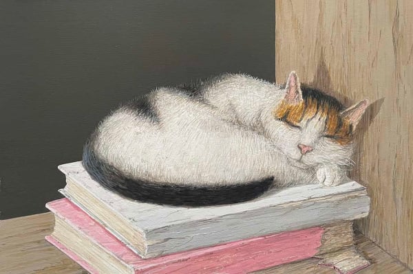 Saul Robertson RSW RGI, Sleeping Cat