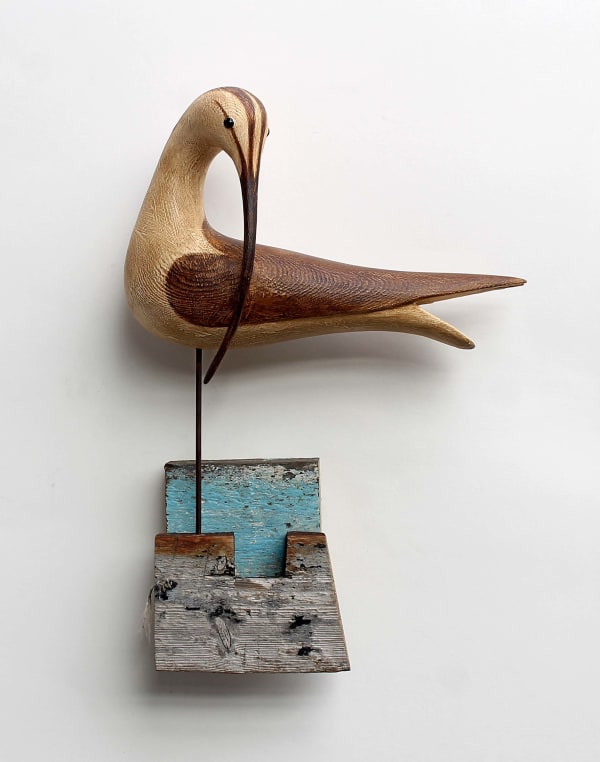 Alex Malcolmson, Preening Whimbrel