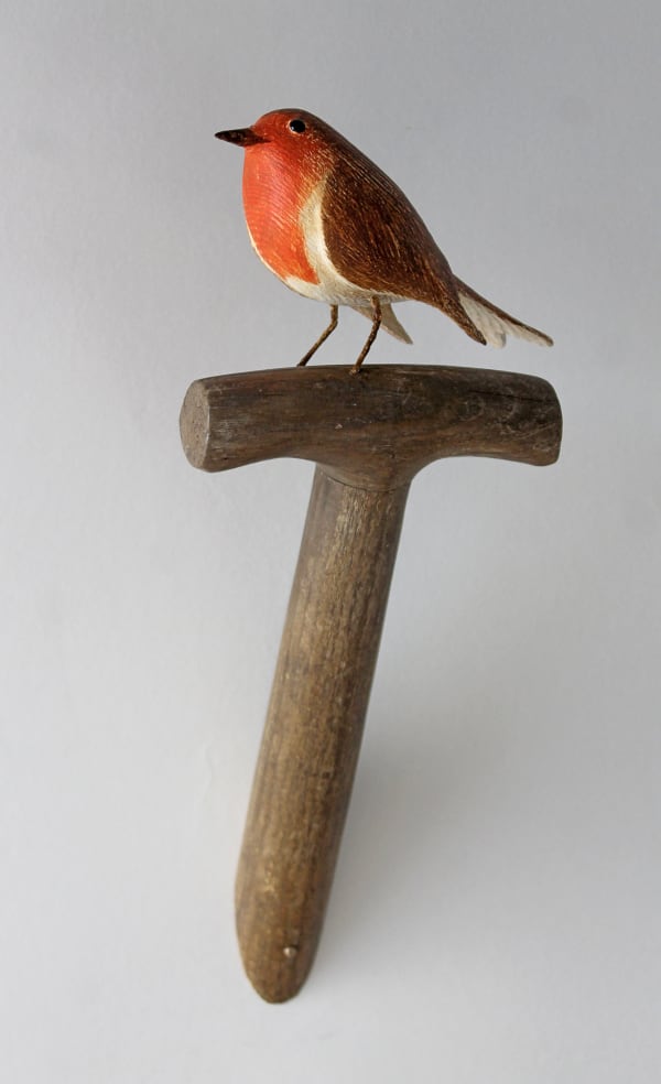 Alex Malcolmson, Robin
