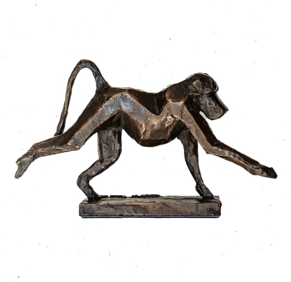 Cobus van der Walt, Baboon