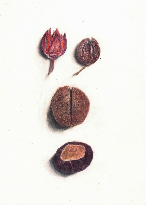 Tom Wilson, Autumn (27)