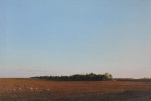 Keith Epps, Six Geese - Kransy