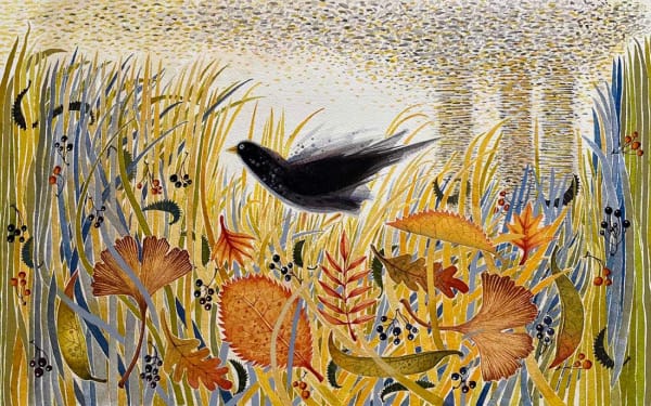 Ann Ross RSW, Yellow Greenery