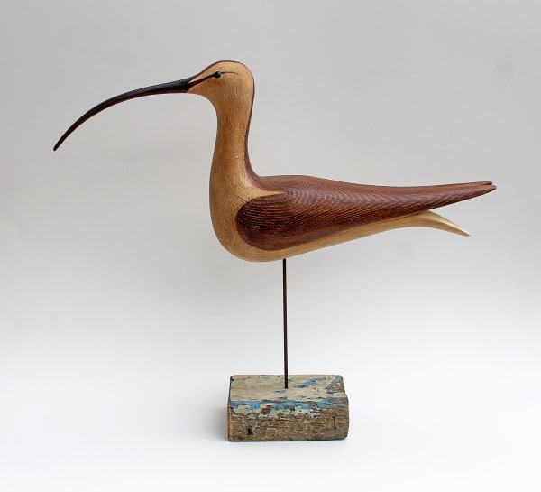 Alex Malcolmson, Curlew