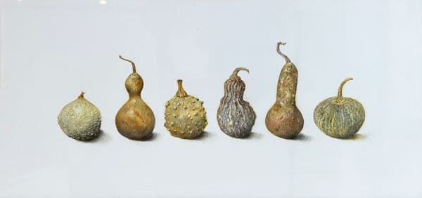 Tom Wilson, Identity Parade