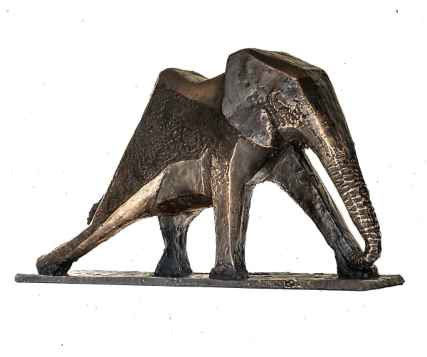 Cobus van der Walt, Elephant