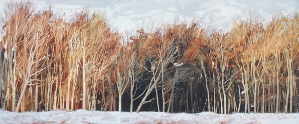 Anna King, Edge of Clearfell, Duns Wood