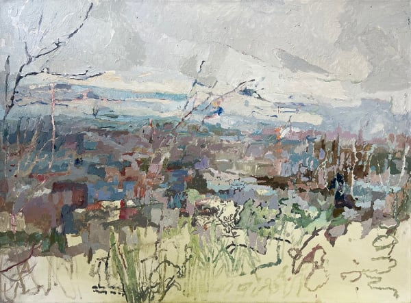 Catharine Davison RSW, Unstoppable Forms of Accumulation, (from Calton Hill)