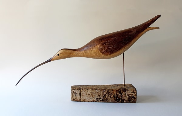 Alex Malcolmson, Running Curlew