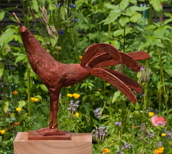 Christopher Marvell, Red Cockerel