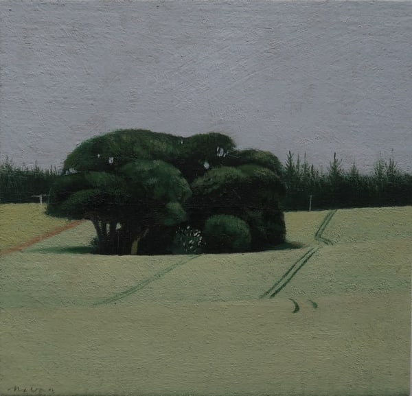 Tom Mabon, Hid in the Woods, Belmaduthy