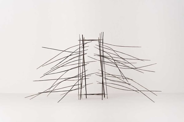 Alice Dudgeon, Thicket