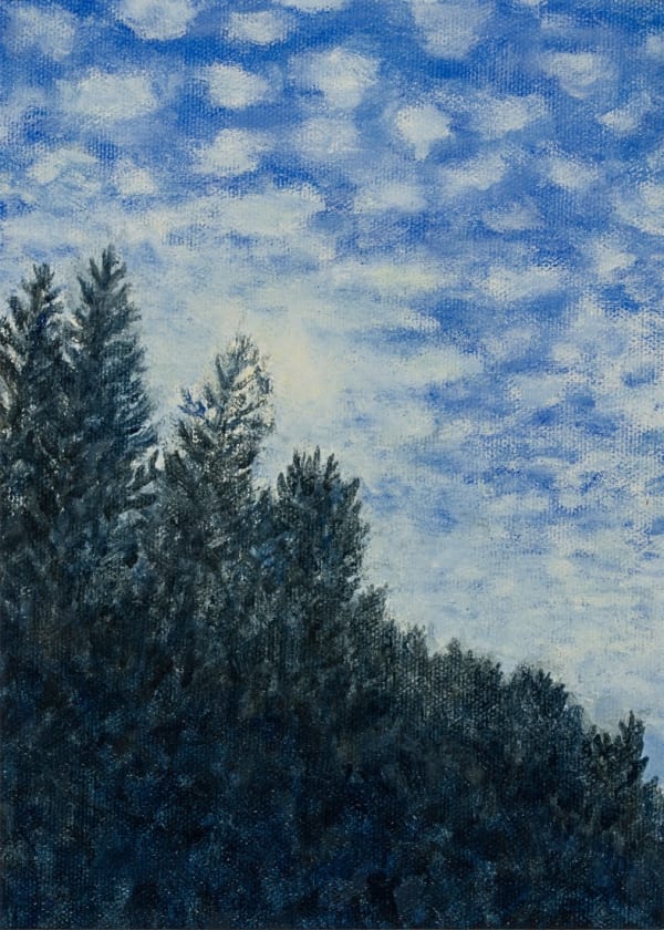 Genevieve Draper, Those trees (178)