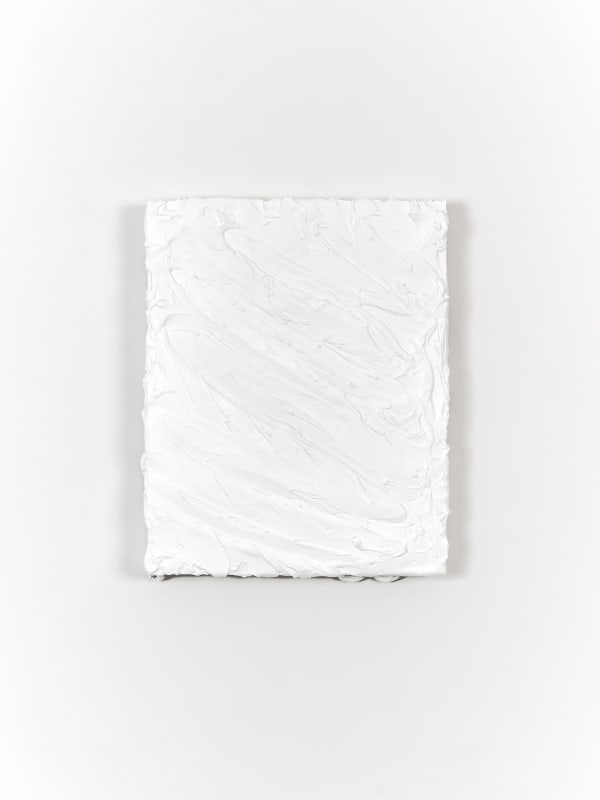 Shannon Ferraioli, Salted Silk, 2021