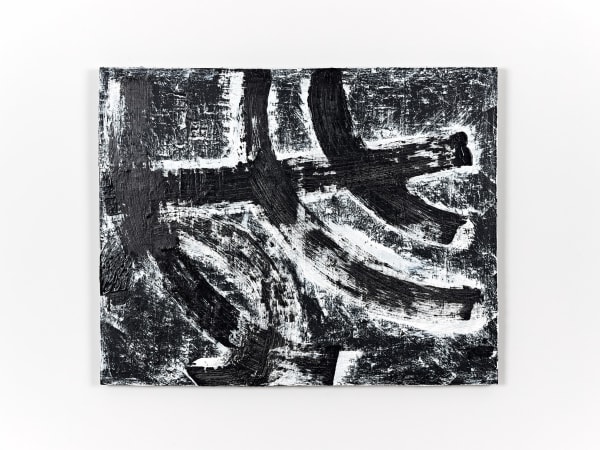 Shannon Ferraioli, Fossil Shadow, 2021