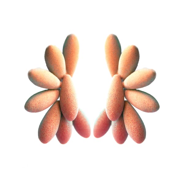 Tanel Veenre, Sunny King, 2024