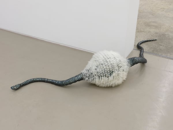 David Bielander, Sheep (In Snake), 2023