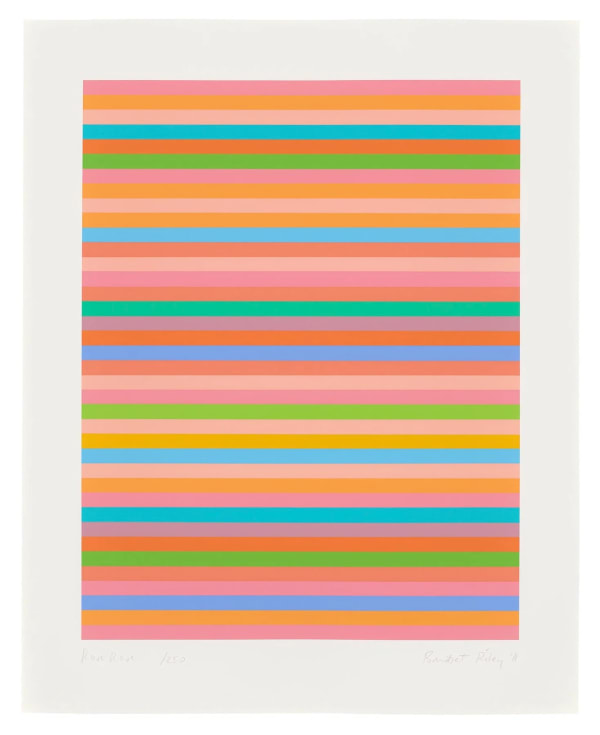 Bridget Riley, Rose Rose, 2011