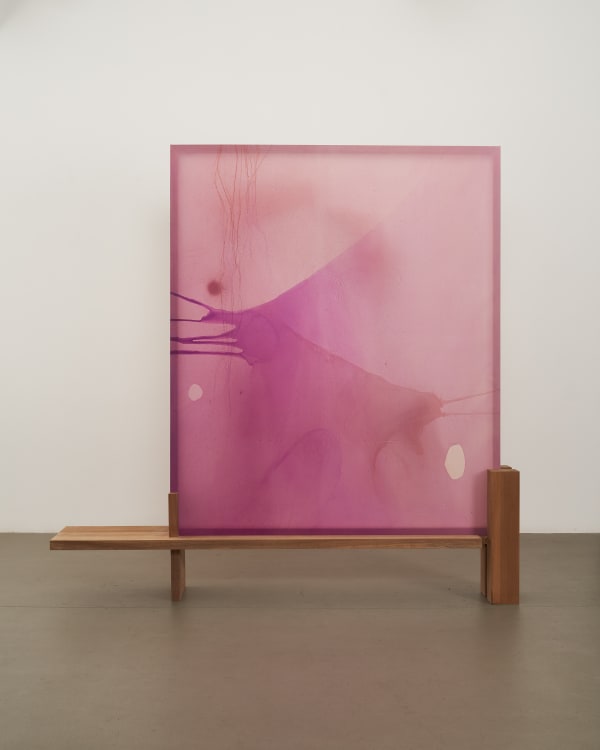 Guo-Liang Tan Both Directions At Once, 2021 Acrylic on aeronautical fabric, balau wood 210 x 229.6 x 37 cm [Painting: 180 x 165 cm / Wooden stand: 30 x 229.6 x 37 cm]