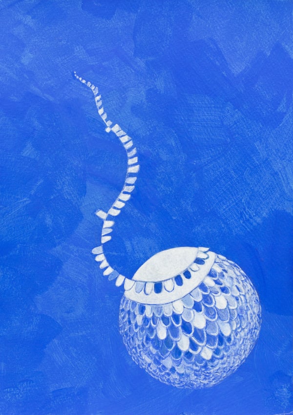 BuBu de la Madeleine, SPHERE #001, 2022