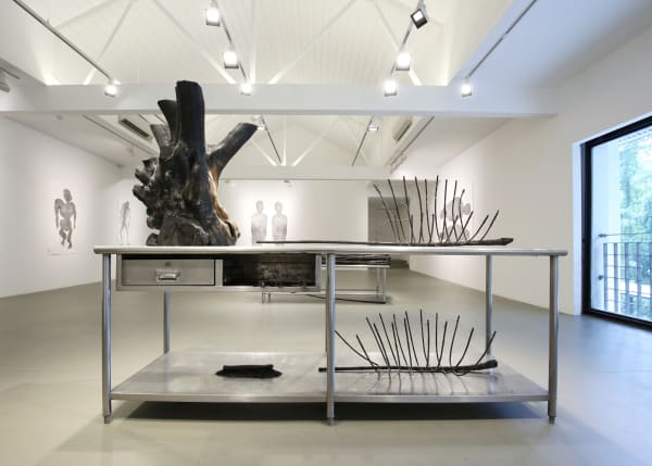 Zai Kuning Autopsy 1, 2017 Tree trunk, rattan, wire, ash, knives, stainless steel table H162 x 76 x 229 cm