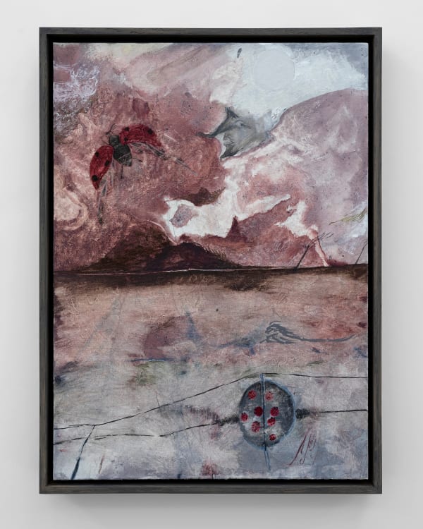 Martin Aagaard Hansen, Ladybugs and Electricity, 2024