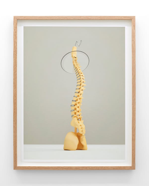 Stine Deja, Antibodies 2, 2018