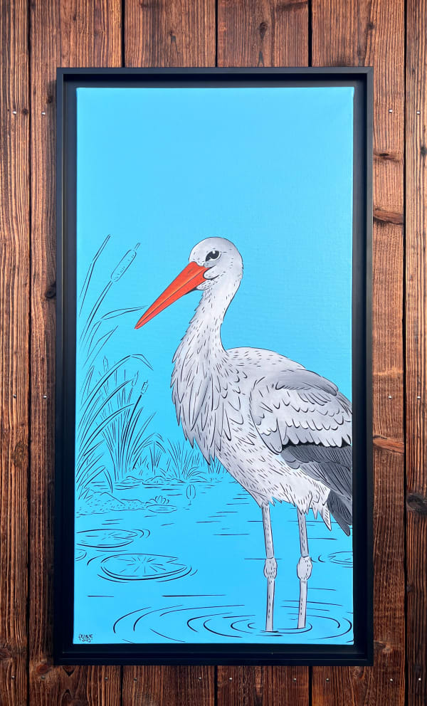 Dezache, Ciconia, 2025