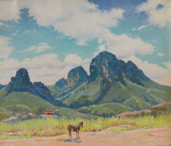 Carl Woolsey - Burro-North of Taos