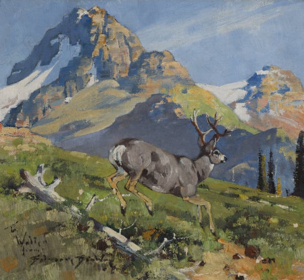 Belmore Browne - Bear Creek Valley, d. 1928